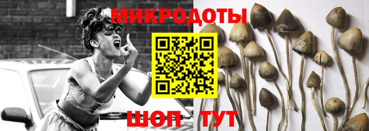 Псилоцибиновые грибы мицелий  Вход с VPN  Назарово 